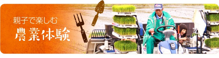 農業体験