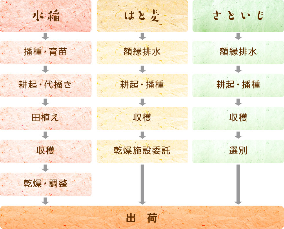 水稲、はと麦、さといもの作業工程